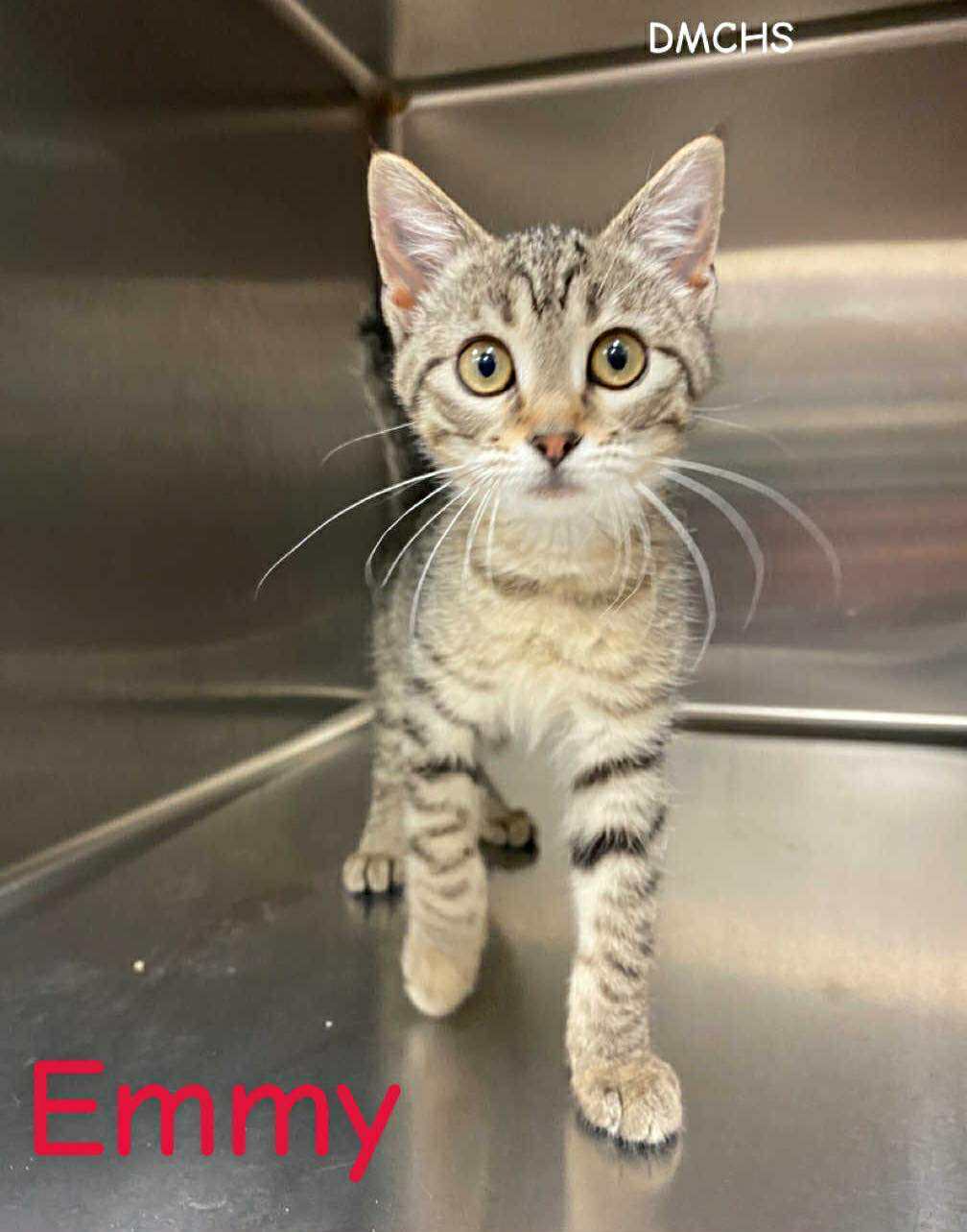 Emmie
