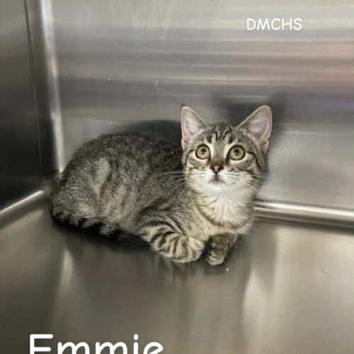 Emmie