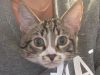 Clark - SEE ME @ PETCO! photo 1