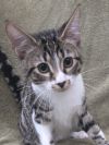 Clark - SEE ME @ PETCO! photo 3