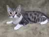 Judy - SEE ME @ PETCO! photo 2