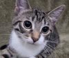Judy - SEE ME @ PETCO! photo 3