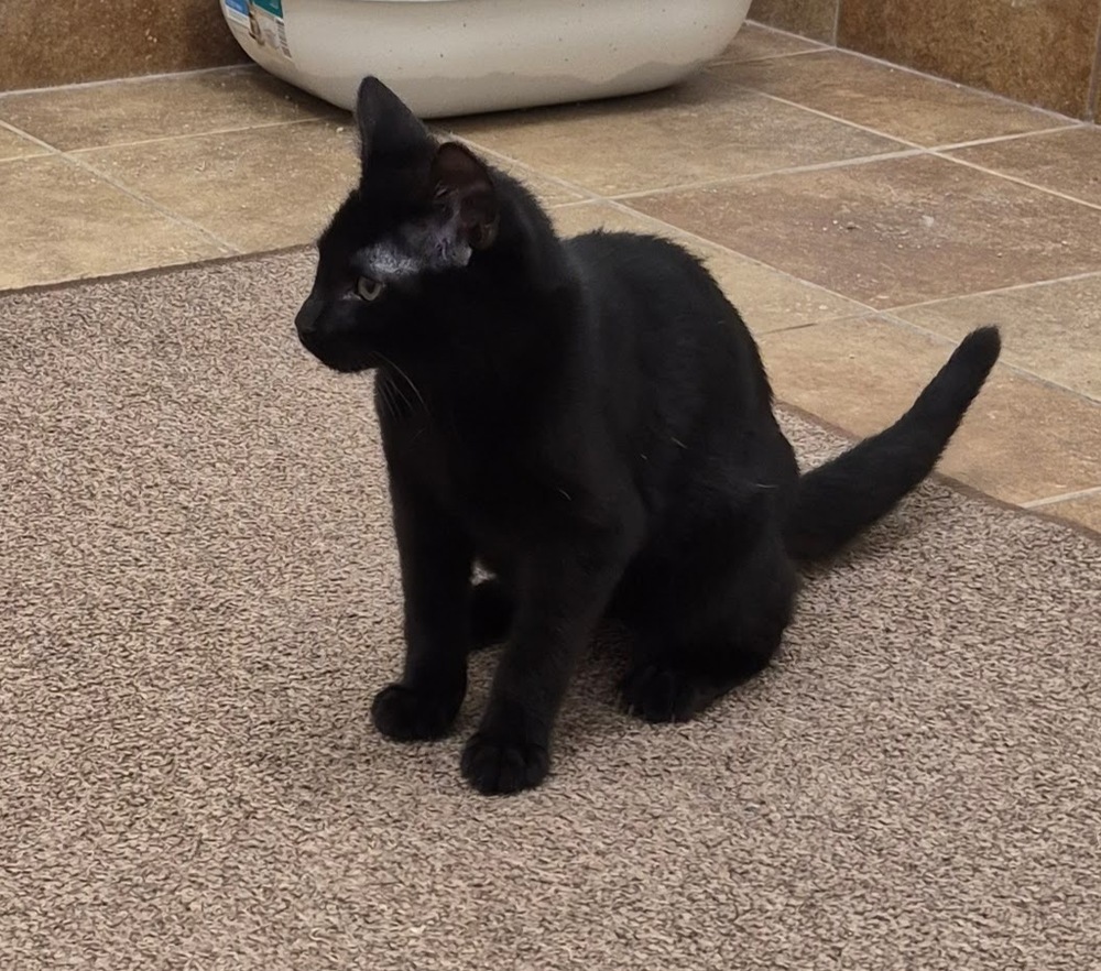 Ralphie