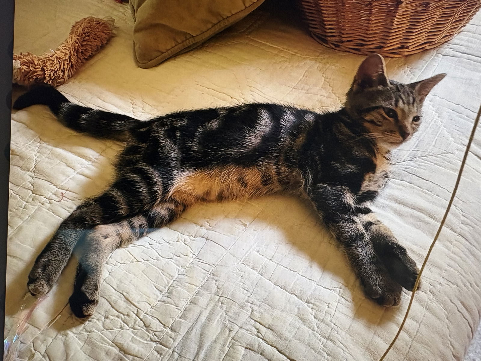 Tigger