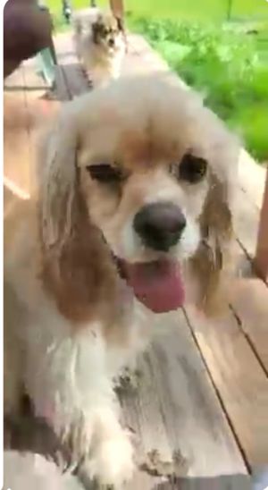 Photo of Brady