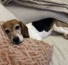 Lucy photo 3
