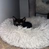 Flicka photo 4