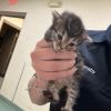 Tiny photo 2