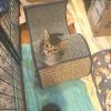 Tiny photo 5