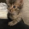 Tiny photo 6