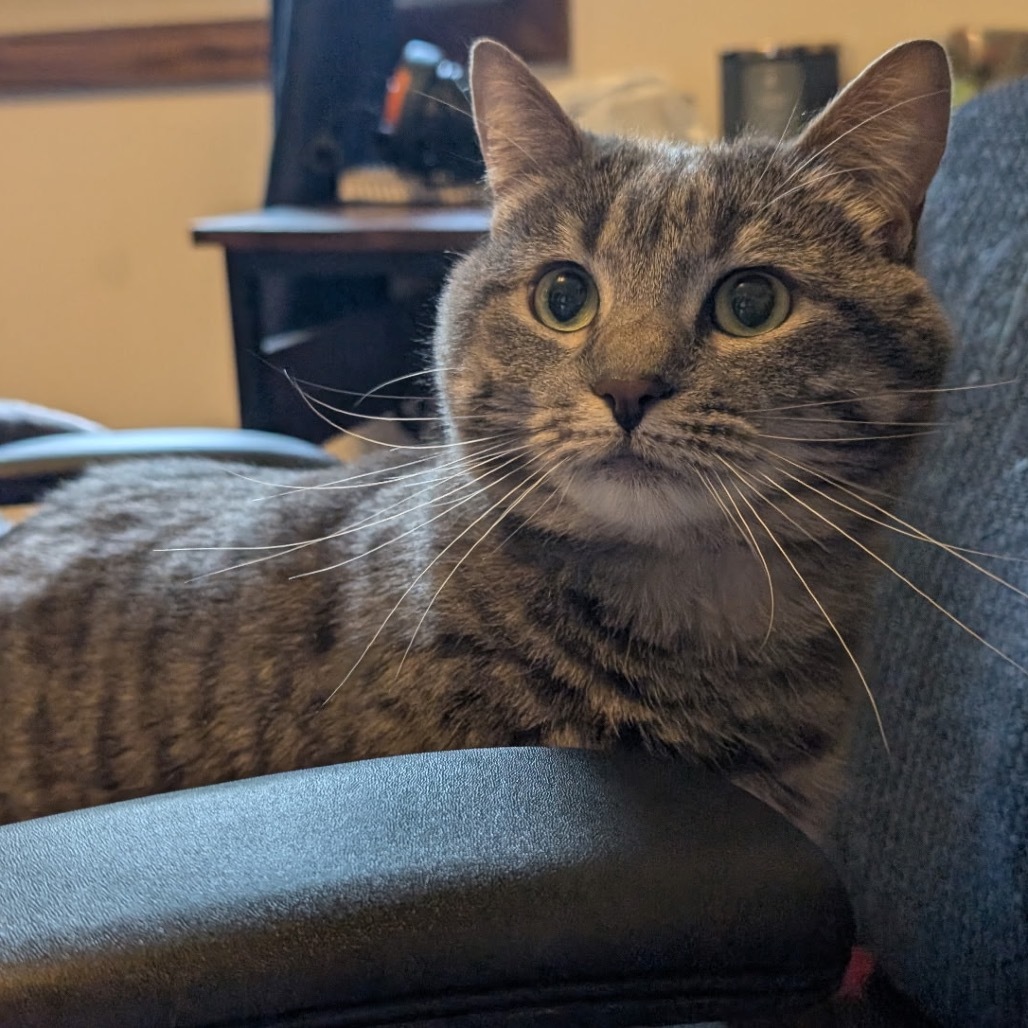 Colby