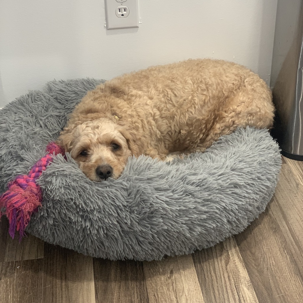 Rosie