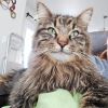 Charlie photo 1