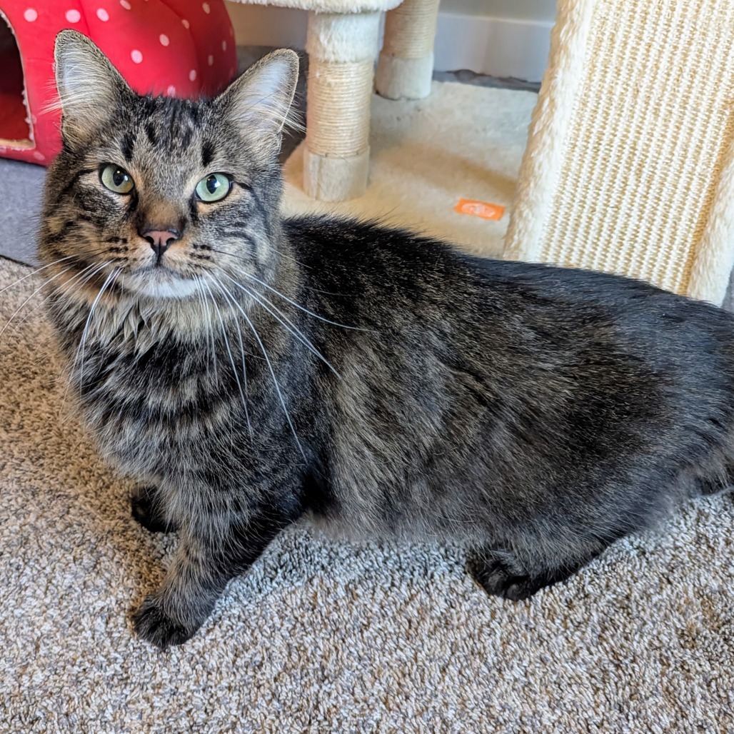 Charlie