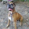 Spike photo 1