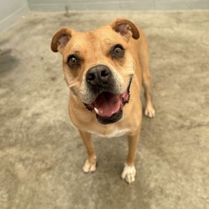Jose, Senior Male unknown