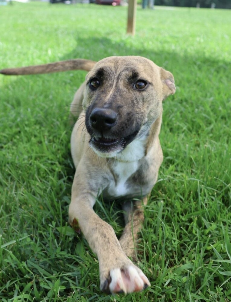 Coco