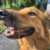 Odin - Home to Home photo 3