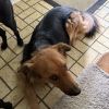 Odin - Home to Home photo 4