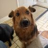 Odin - Home to Home photo 6