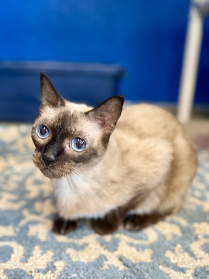 Frankie