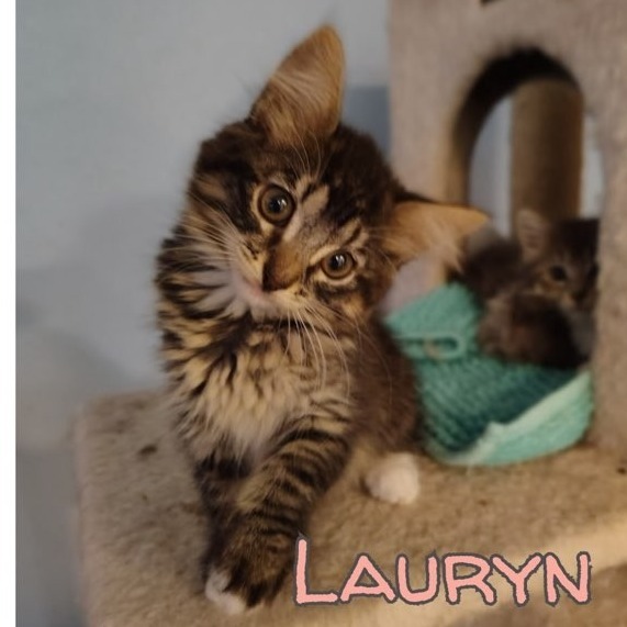 Lauryn