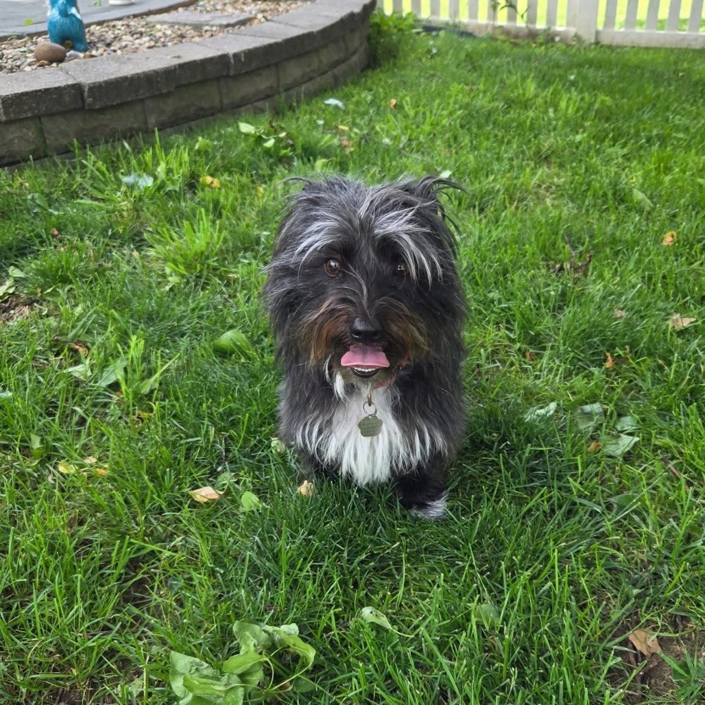 Fritz
