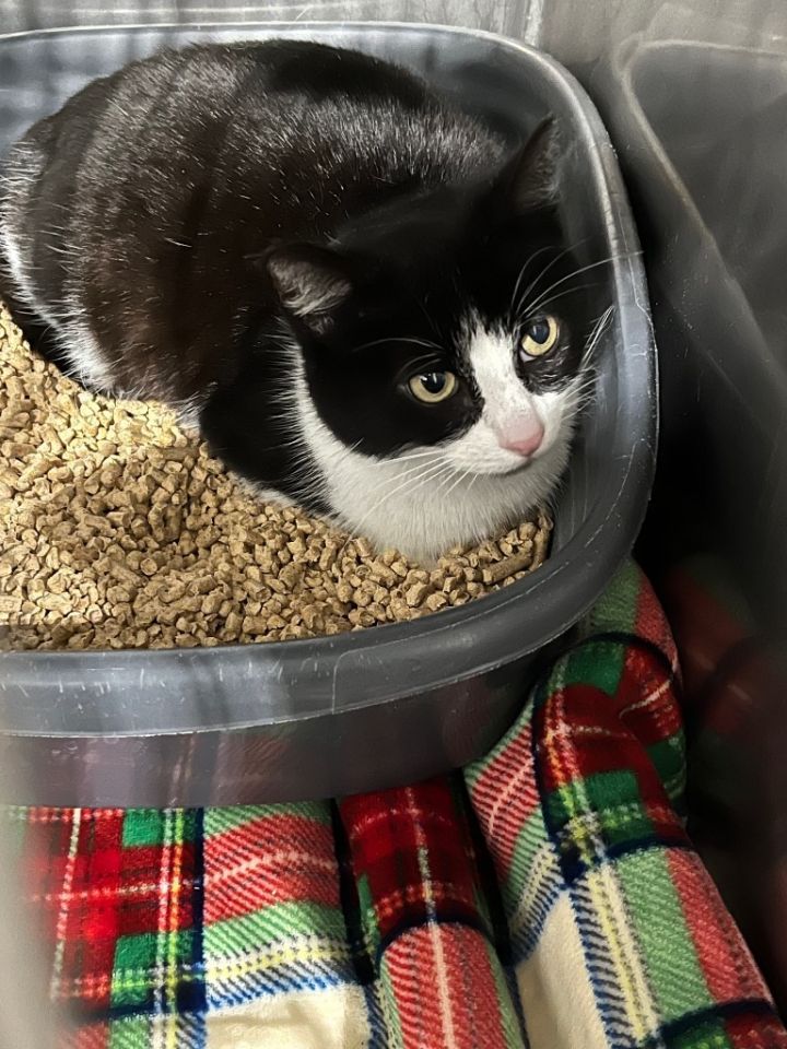 Betty White - Silo 2