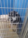 Jax - REDUCED FEE photo 2