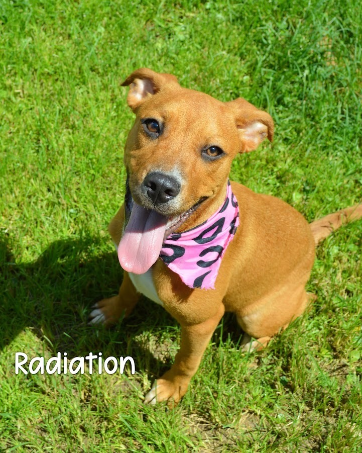 Radiation