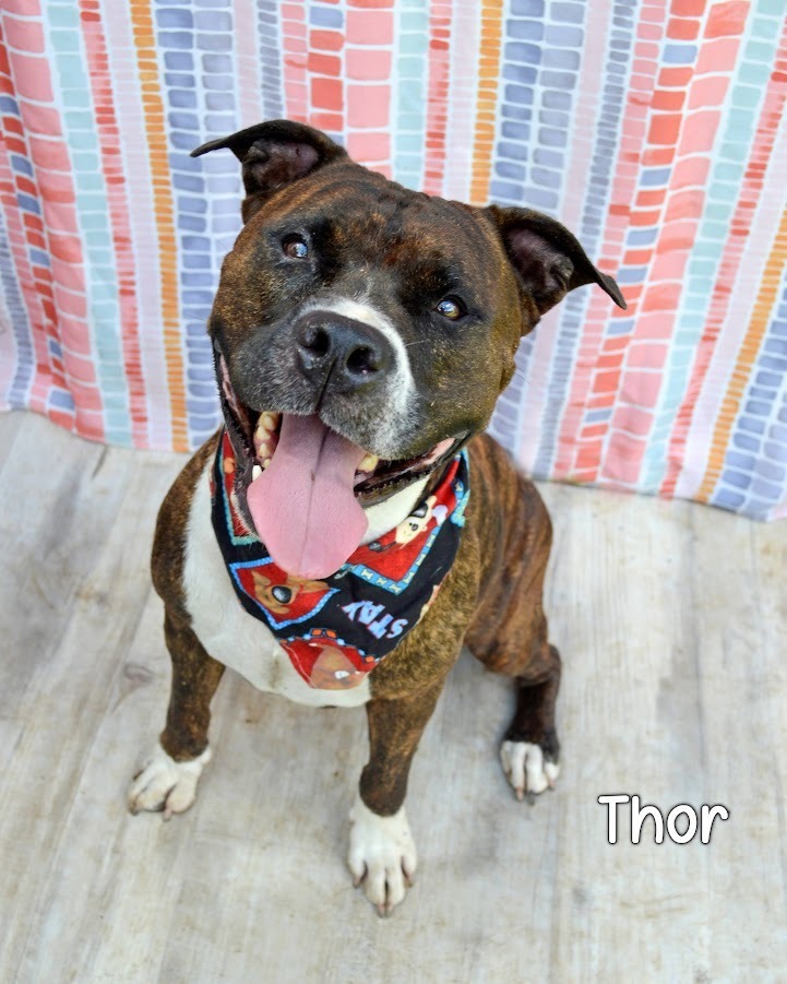 Thor