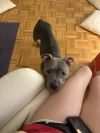 Sully photo 4