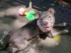 Sully photo 5