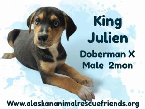 King Julien Litter - Julien, Baby Male unknown