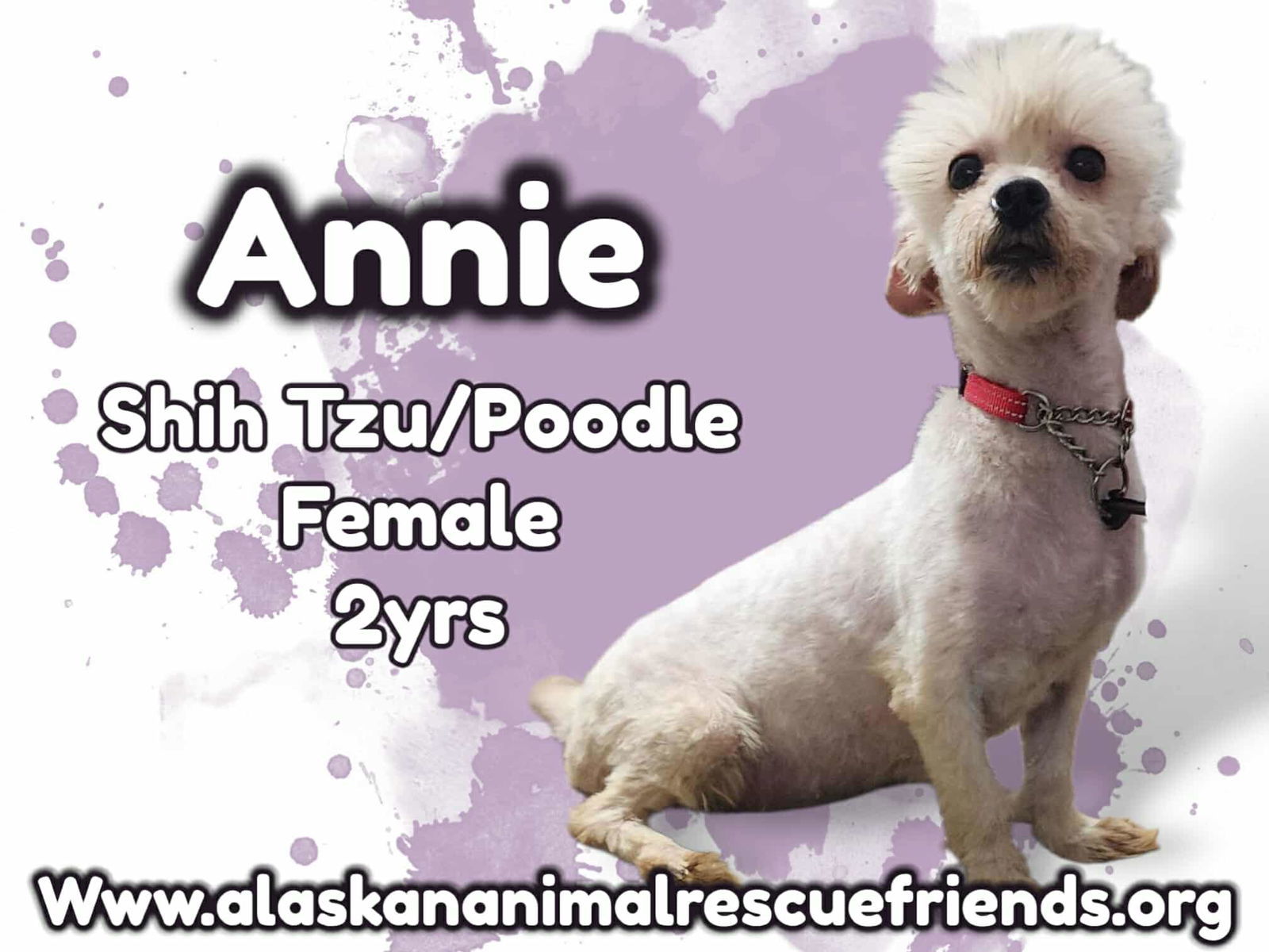 Annie