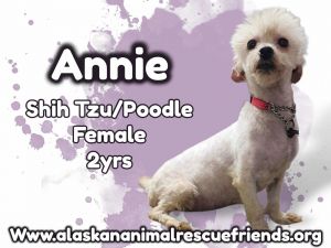 Annie, Adult Female unknown
