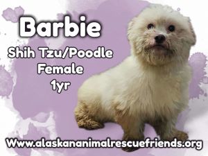 Barbie, Adult Female unknown