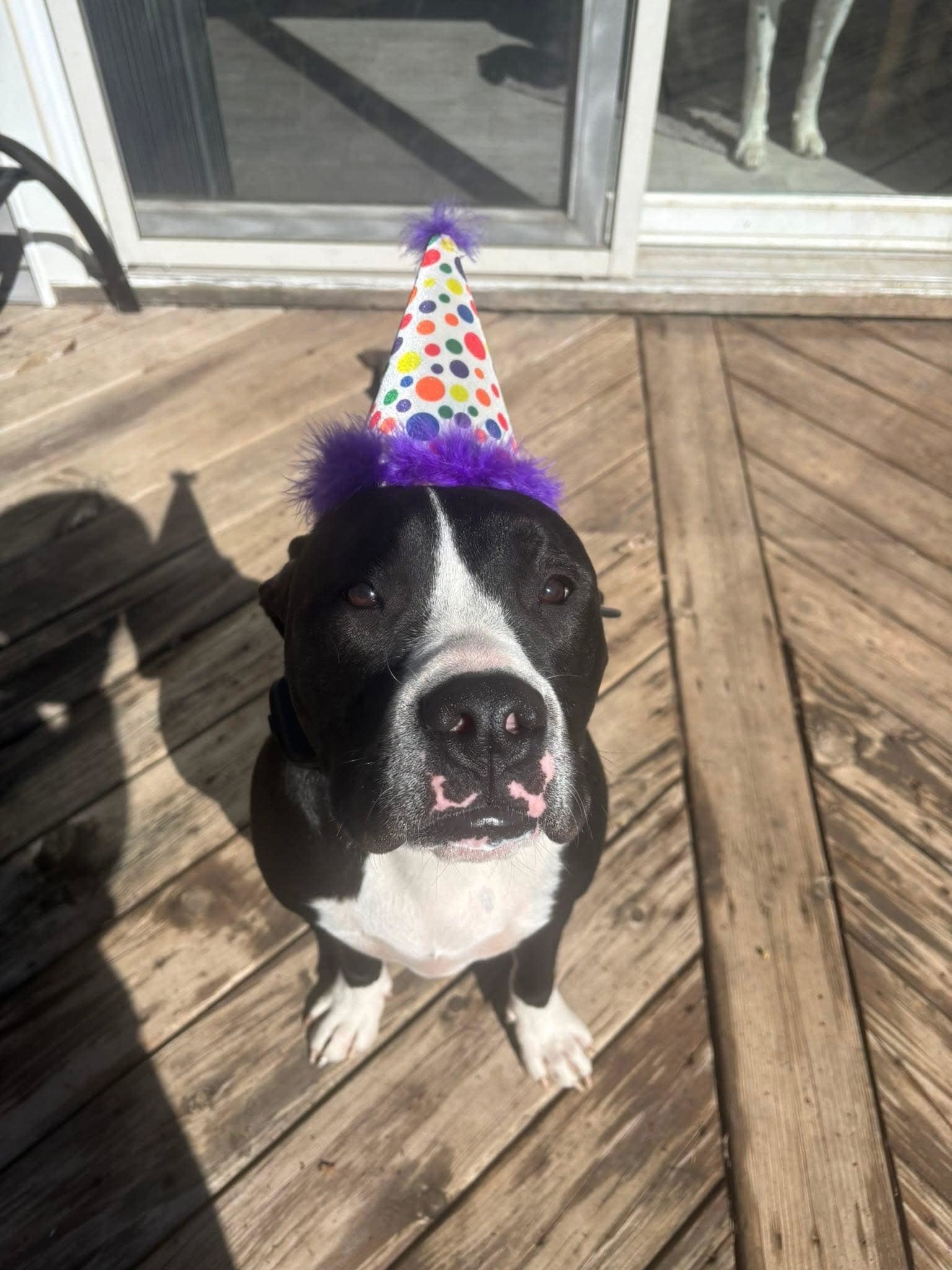 Ernie