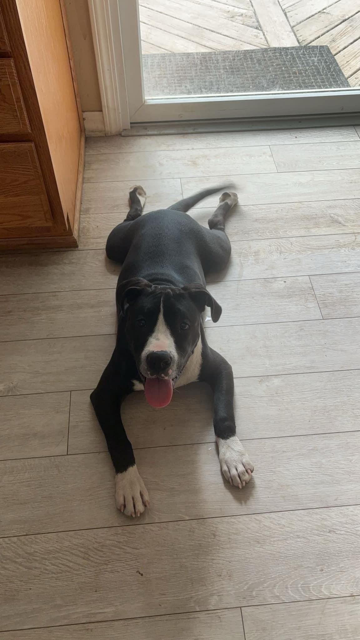 Ernie