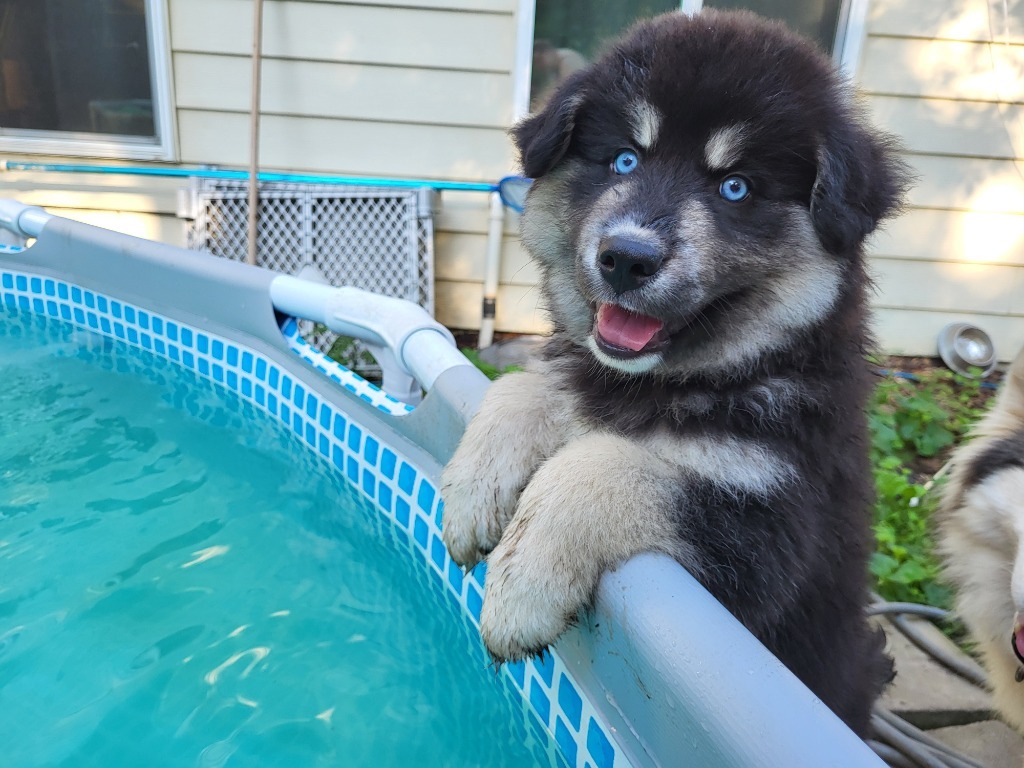 Eska