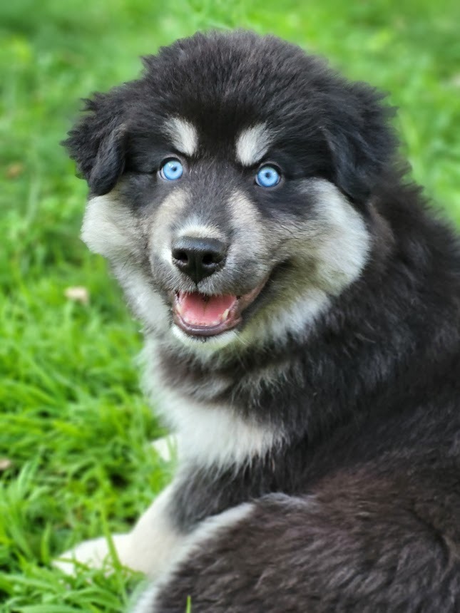 Eska