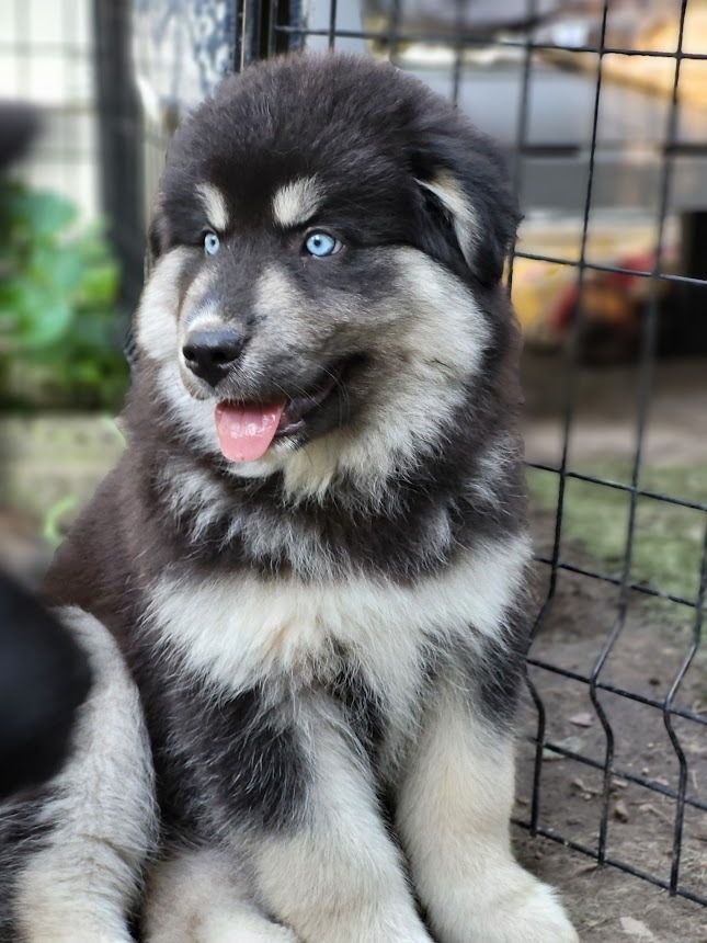 Eska