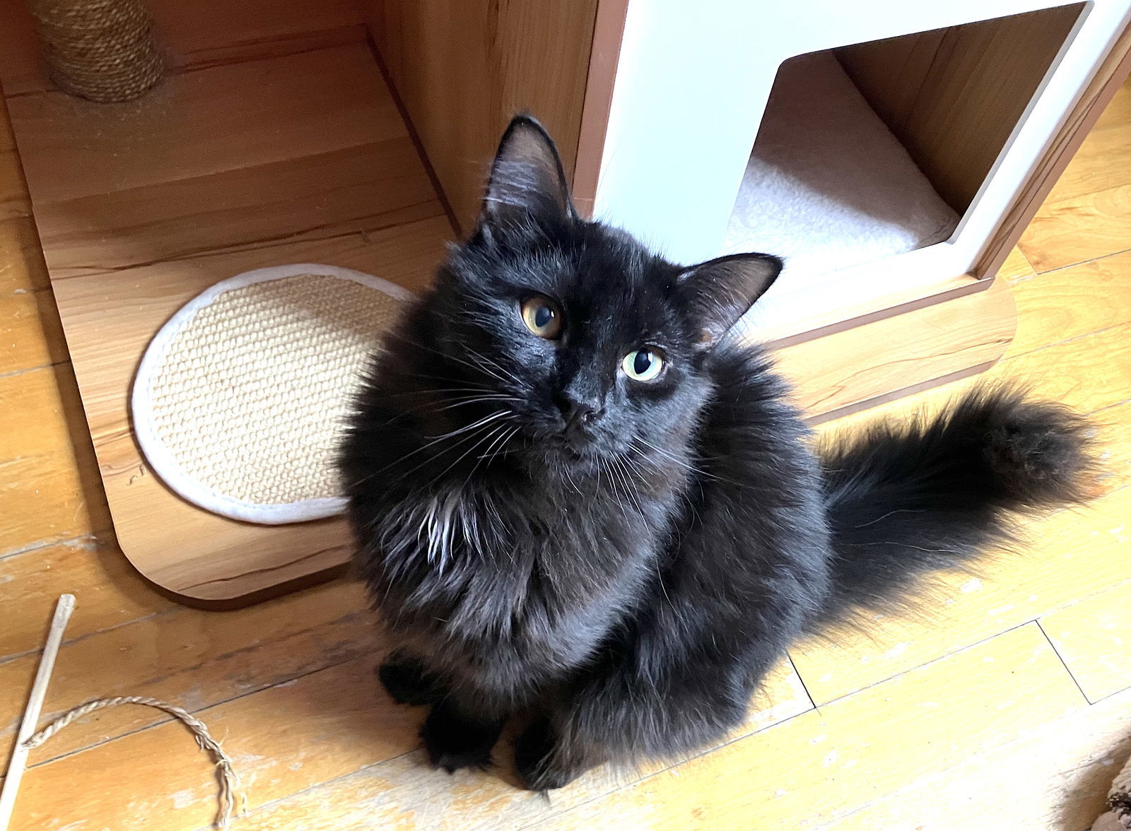 Milo