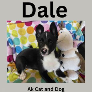 Dale FKA Yeti, Baby Male unknown