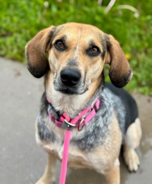 Ellie