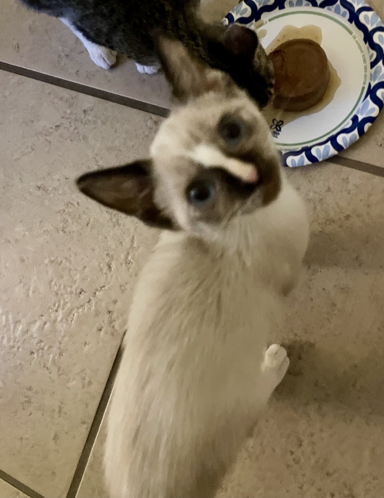 Luna