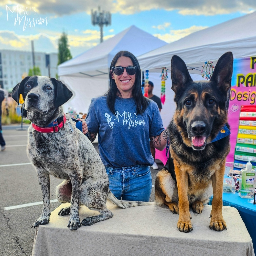 Deacon Jim, an adoptable German Shepherd Dog in Spokane , WA, 99209 | Photo Image 6