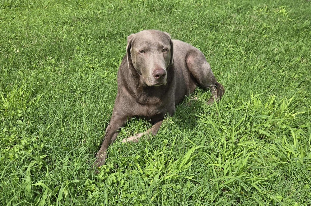 Dakota (Valley)