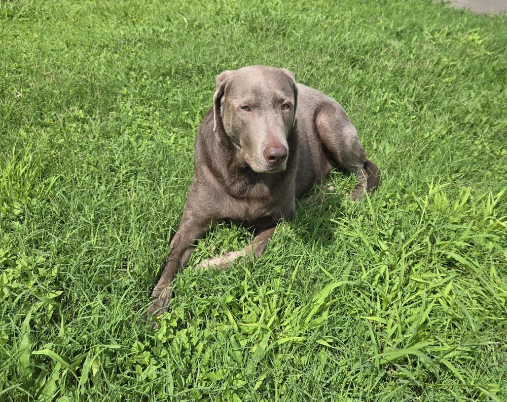 Dakota (Valley)