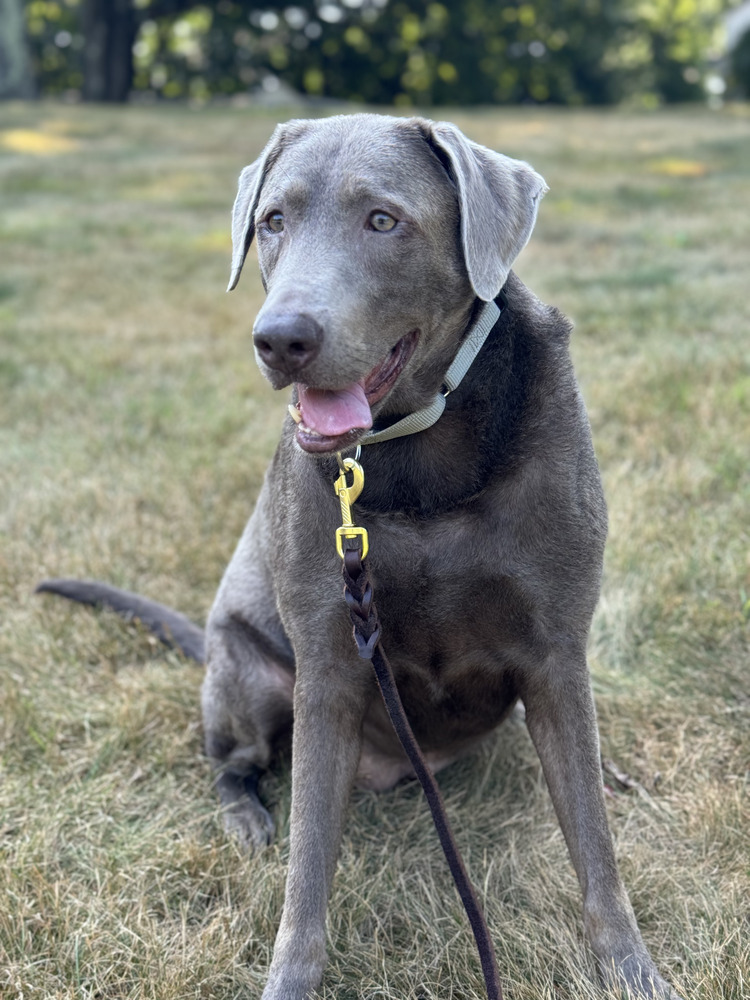 Dakota (Valley)